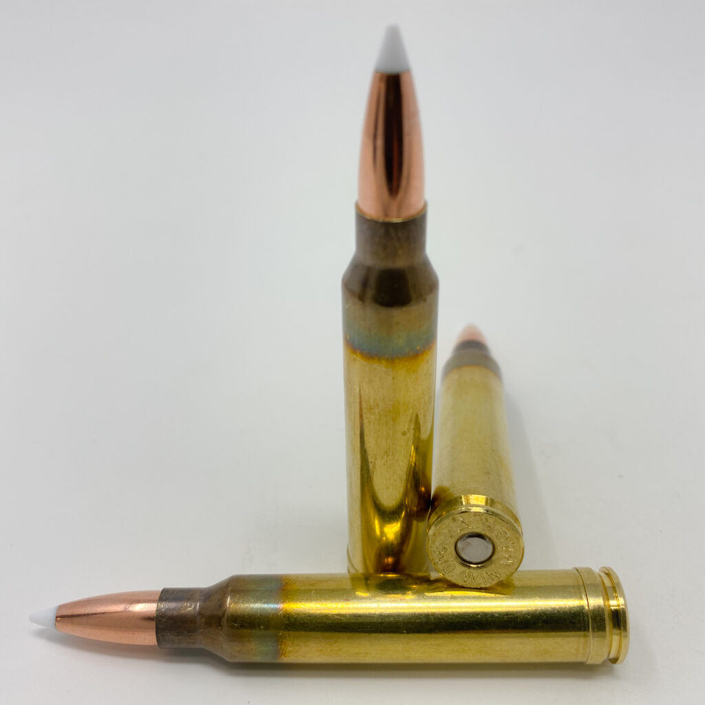 300 Winchester Magnum 180 Nosler Partition - Unknown Munitions